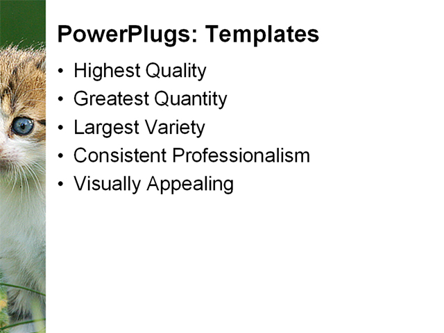 PowerPoint Template - cats, pets, green - Print Slide