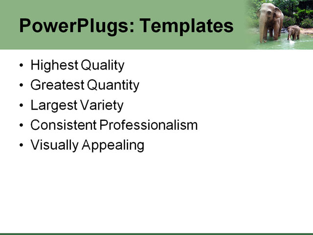 PowerPoint Template - services, business, marketing - Print Slide
