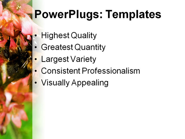 PowerPoint Template - bumblebee, animal, beautiful - Print Slide