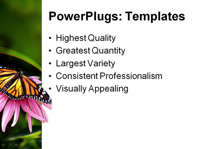 PowerPoint Template - butterfly, coneflower, flower - Print Slide