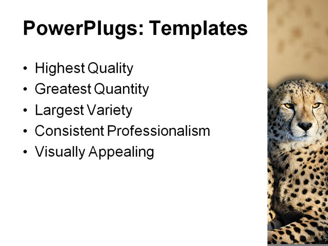 PowerPoint Template - cheetah wild cats, affection, africa - Print Slide