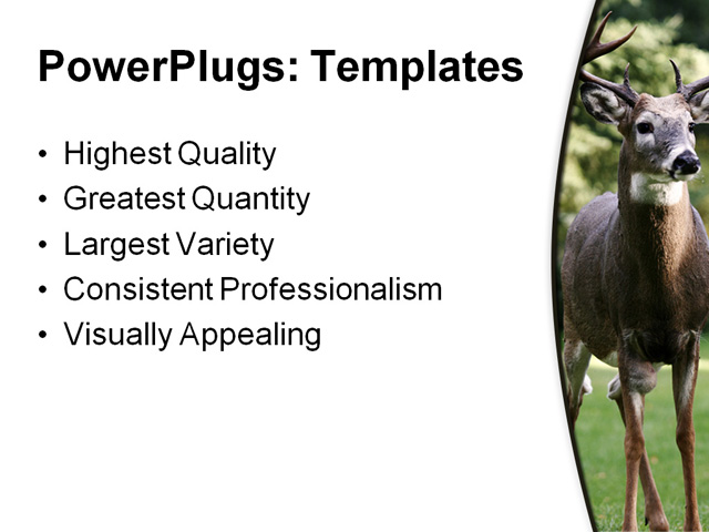 PowerPoint Template - male white tailed deer, alert, animal - Print Slide