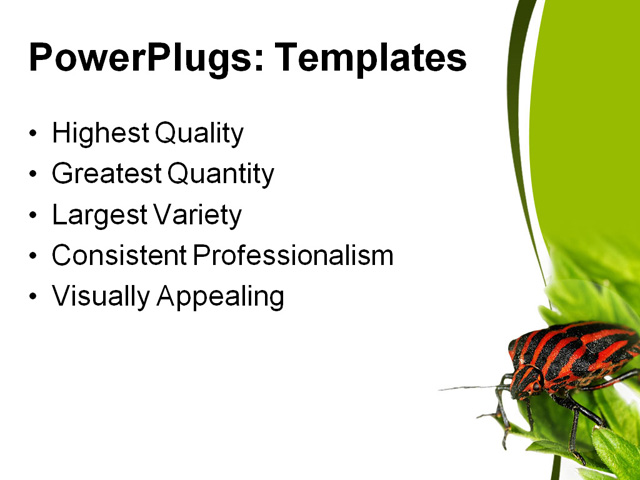PowerPoint Template - insect, animal, bug - Print Slide