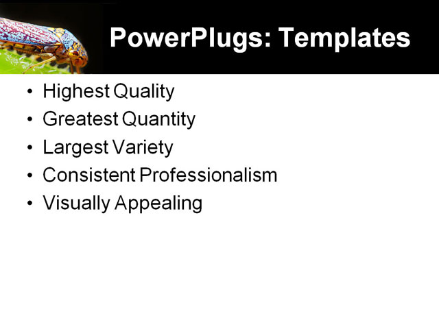 PowerPoint Template - colorful, vibrant, insect - Print Slide