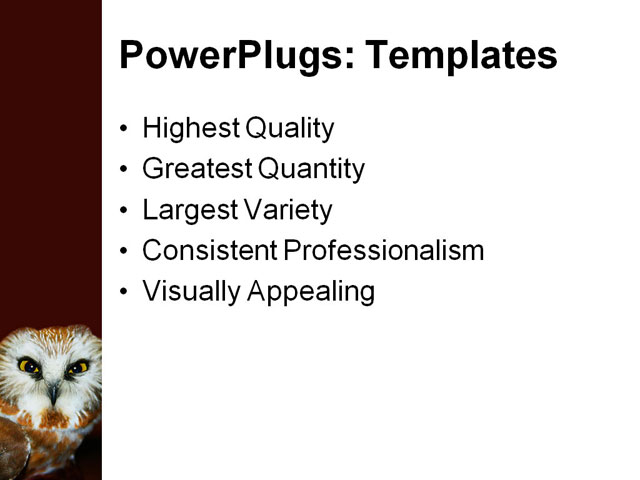 PowerPoint Template - owl, animal, beak - Print Slide
