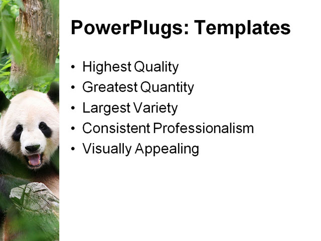 PowerPoint Template - panda bear, bear, happy - Print Slide