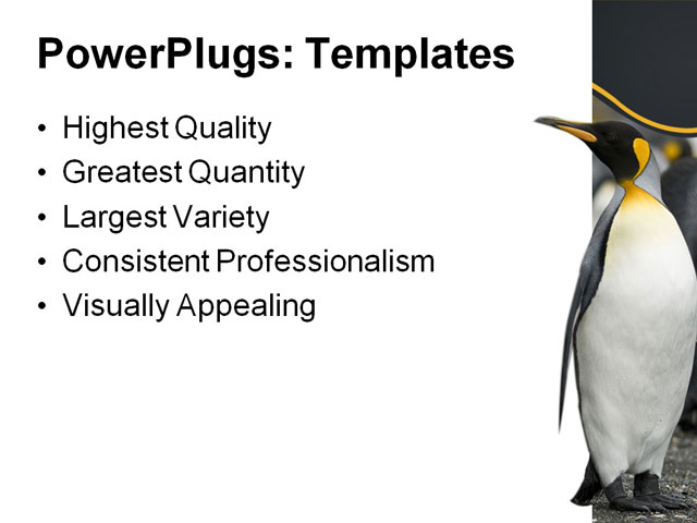 PowerPoint Template - penguin guards, animals, antarctica - Print Slide