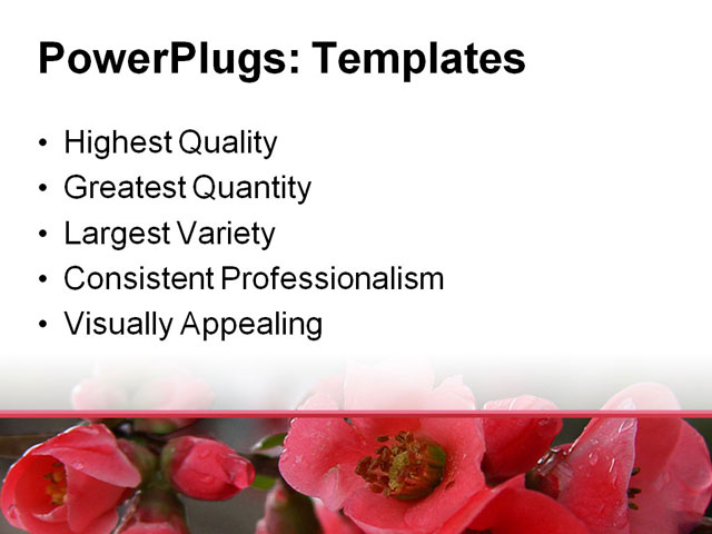 PowerPoint Template - pomegranate, flowers, blossom - Print Slide