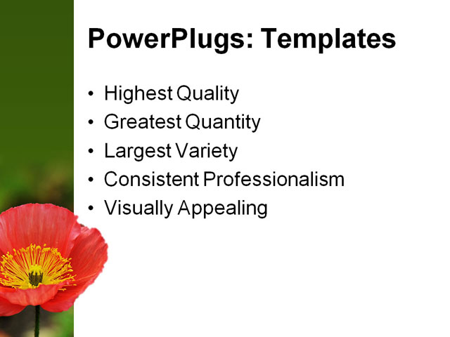 PowerPoint Template - red iceland, poppy flowers, garden - Print Slide