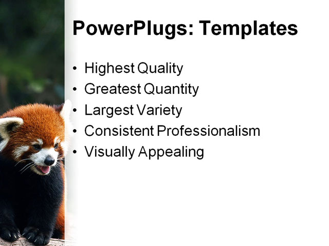 PowerPoint Template - red panda, ailurus, animal - Print Slide