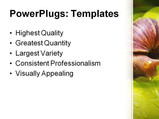 PowerPoint Template - snail on leaf, alone, animal - Print Slide