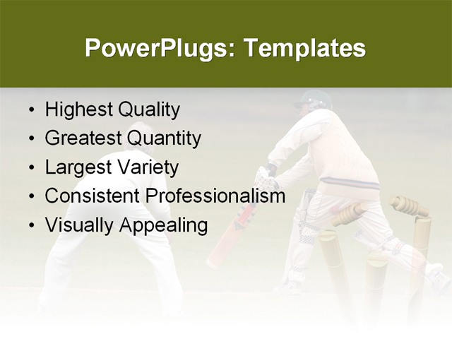 PowerPoint Template - ball, bat, cricket - Print Slide