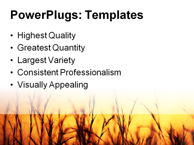 PowerPoint Template - golden sunset, agriculture, barley - Print Slide